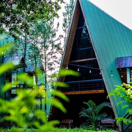 Hotel De Cristal & Hacienda De Los Morales San Miguel Dış mekan fotoğraf